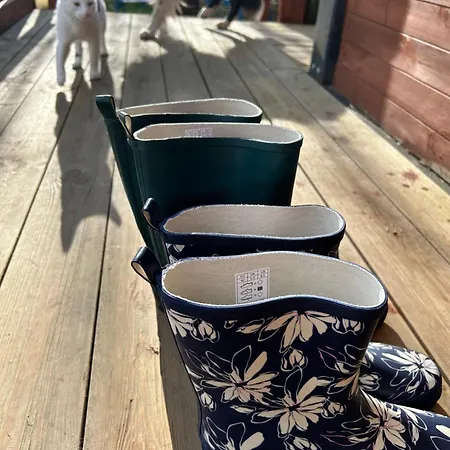 Farm In The Woods * Slade (Dublin)