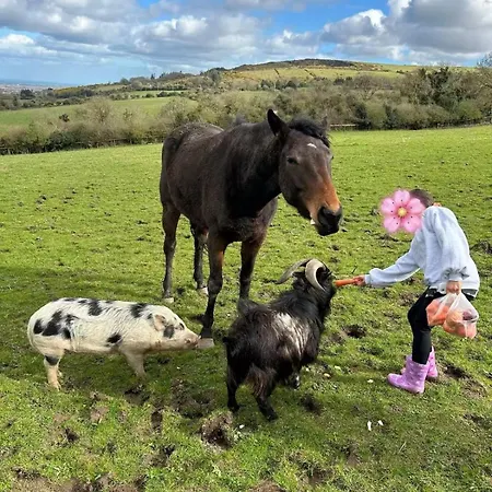 农家乐 Farm In The Woods *