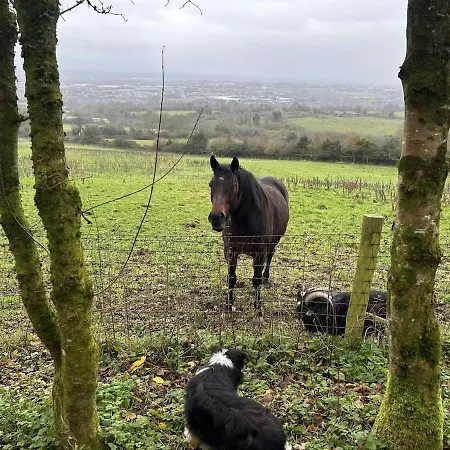农家乐 Farm In The Woods
