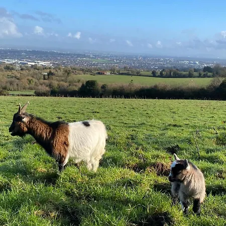 Farm In The Woods 农家乐 *