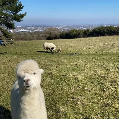 Farm In The Woods 农家乐