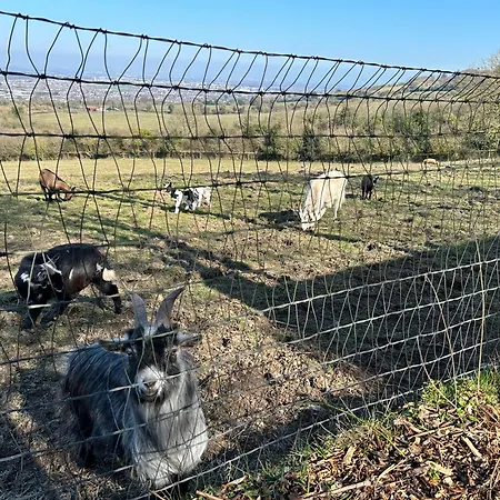 Farm In The Woods Slade (Dublin)