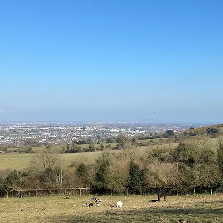 Farm In The Woods 农家乐