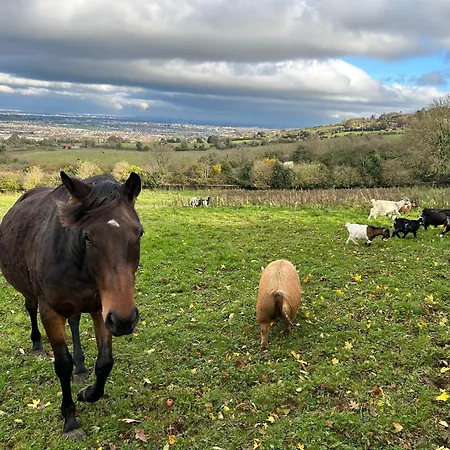 农家乐 Farm In The Woods