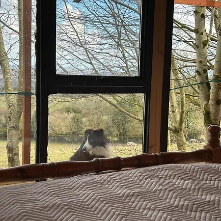 Farm In The Woods * Slade (Dublin)