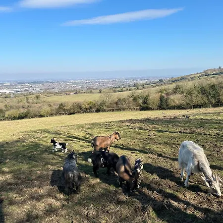 Farm In The Woods ファームステイ *