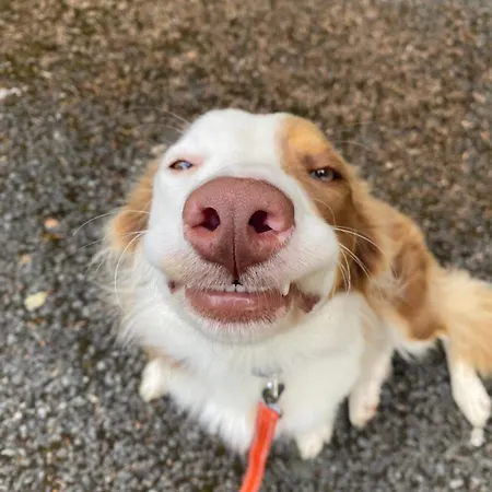 Farm In The Woods ファームステイ *