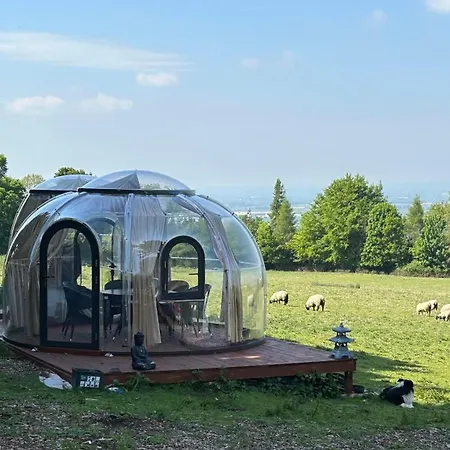 Farm stay Farm In The Woods *