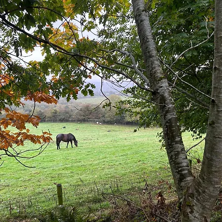 Farm In The Woods 农家乐