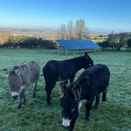 ファームステイ Farm In The Woods