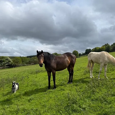 Farm In The Woods Slade (Dublin)