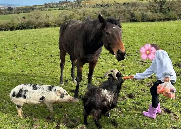 팜스테이 Farm In The Woods *