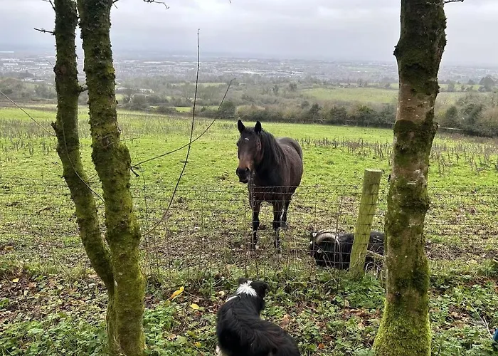 팜스테이 Farm In The Woods