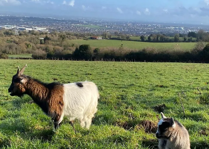 Farm In The Woods 팜스테이 *