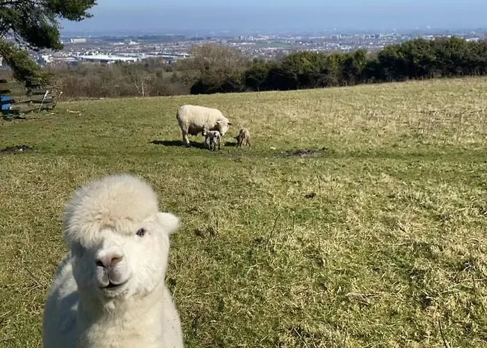 Farm In The Woods 팜스테이