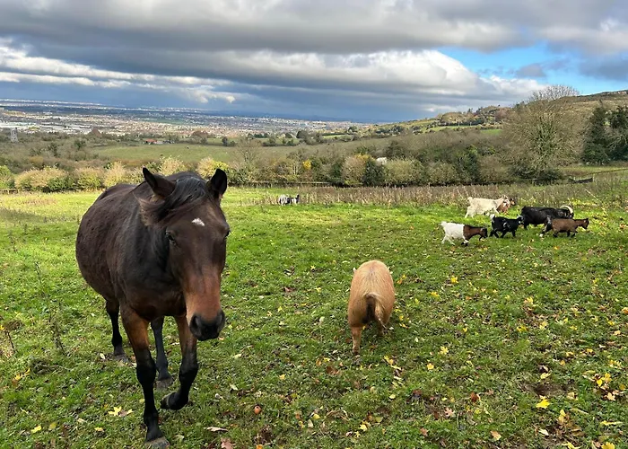 Séjour à la ferme Farm In The Woods