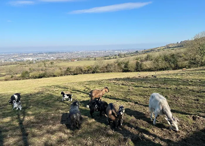 Farm In The Woods 팜스테이 *