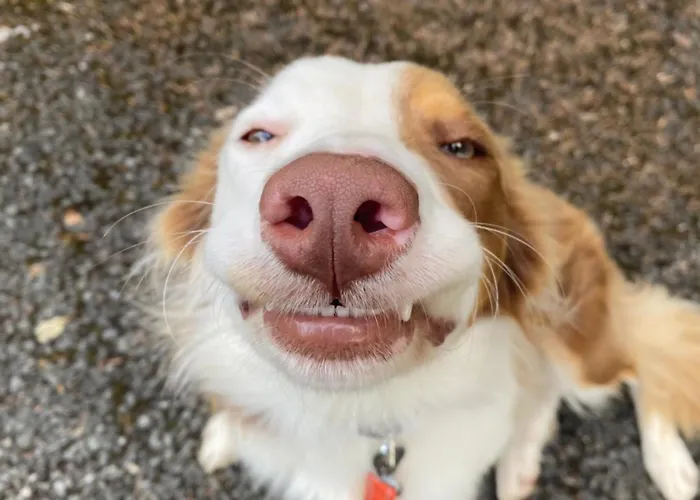 Farm In The Woods 팜스테이 *