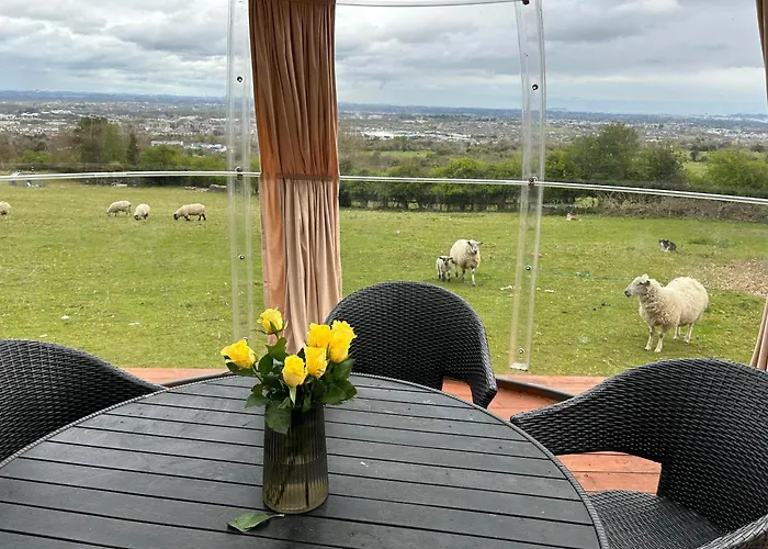 Farm In The Woods 팜스테이