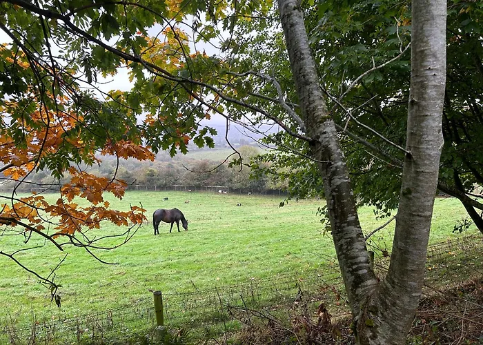 Farm In The Woods Séjour à la ferme
