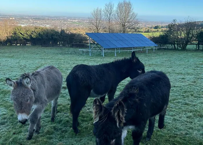 팜스테이 Farm In The Woods