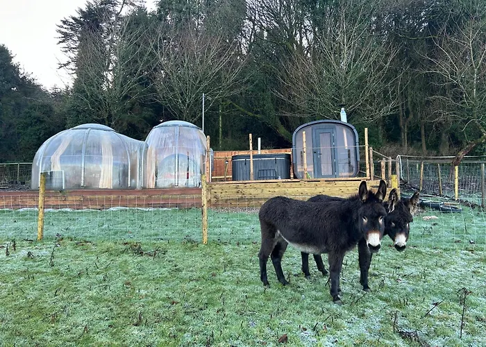 Farm In The Woods 팜스테이 *